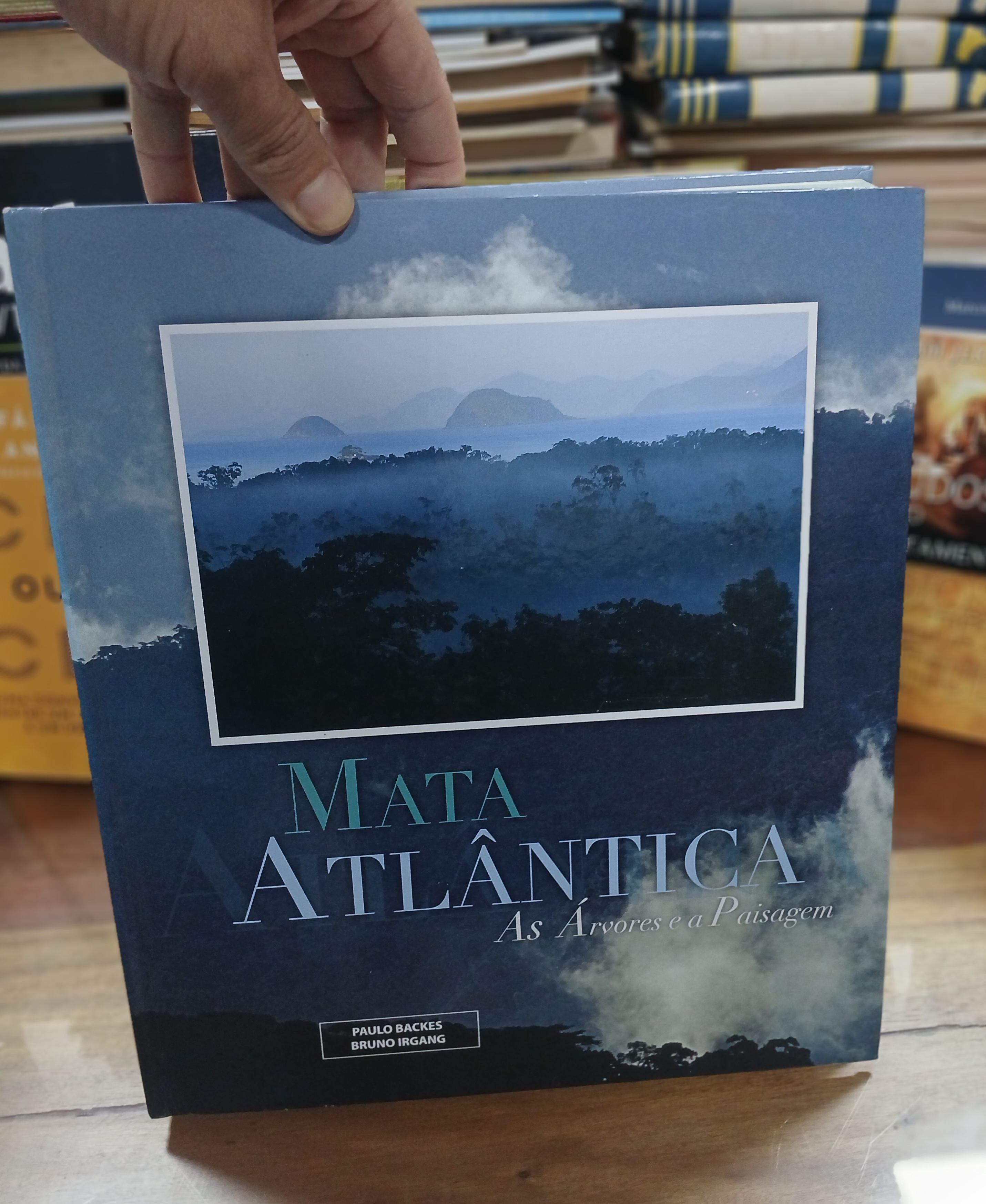 Capa de Mata Atlântica Árvores e Paisagem Livro Grande Ilustrado Capa Dura