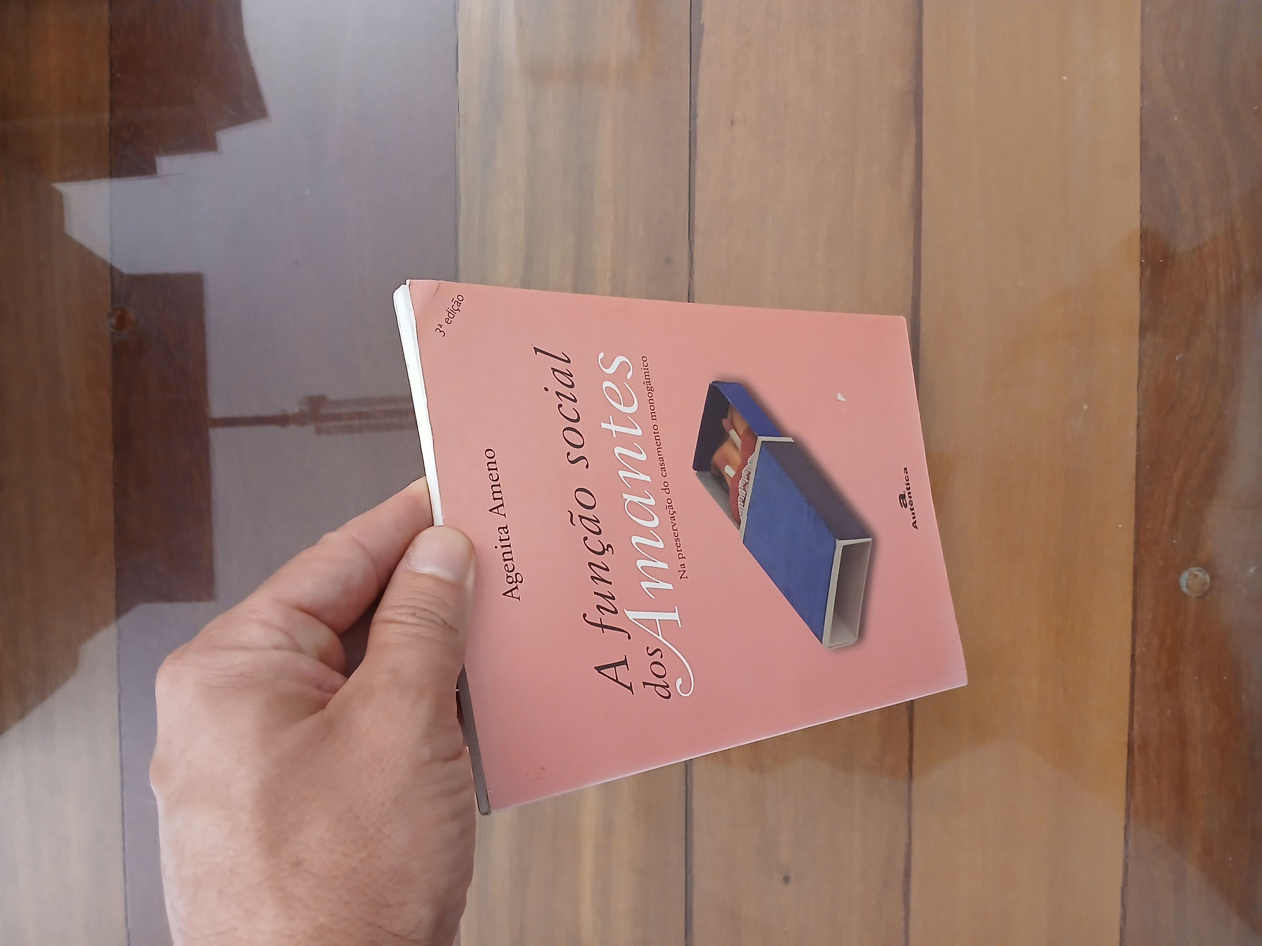 Capa de A Função Social dos Amantes, Agenita Ameno - Autêntica