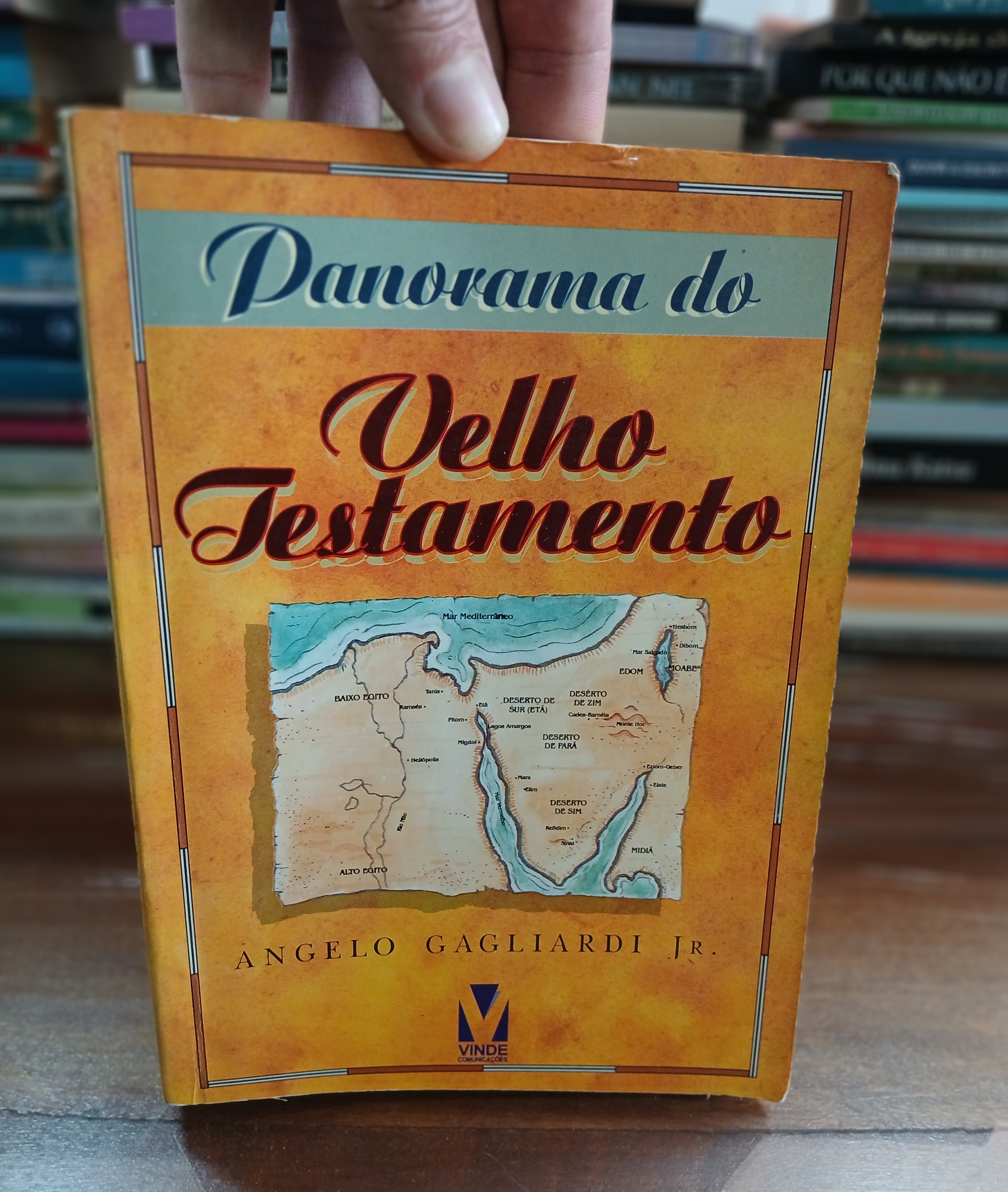 Capa de Panorama do Velho Testamento - Angelo Gagliardi Jr.