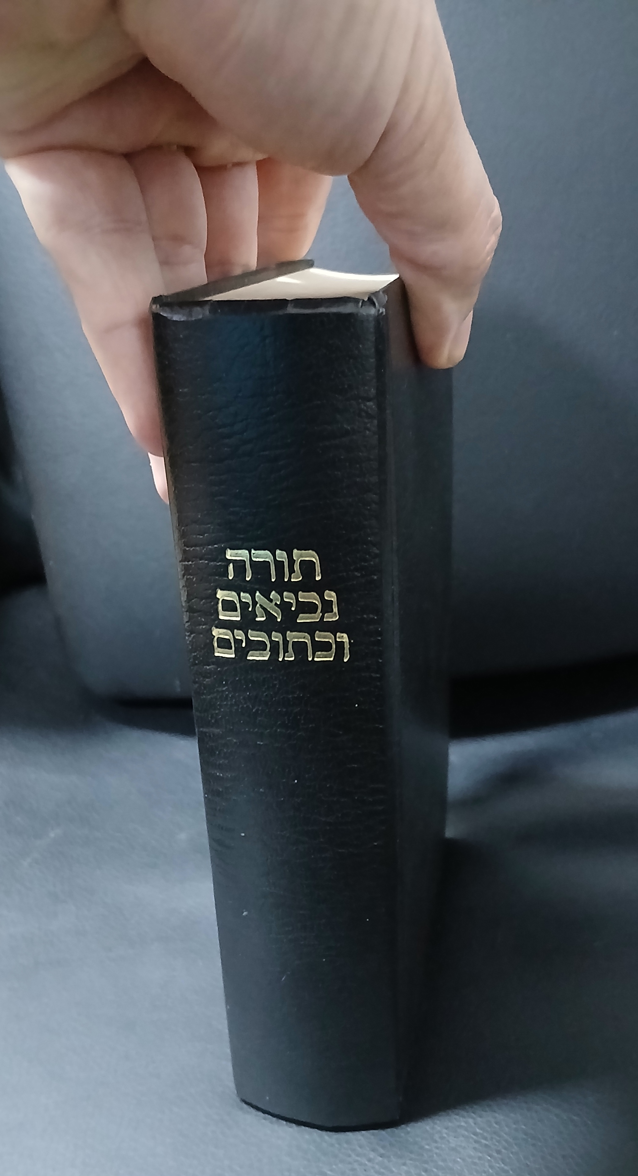 Capa de Antigo Testamento em Hebraico Edição Raríssima