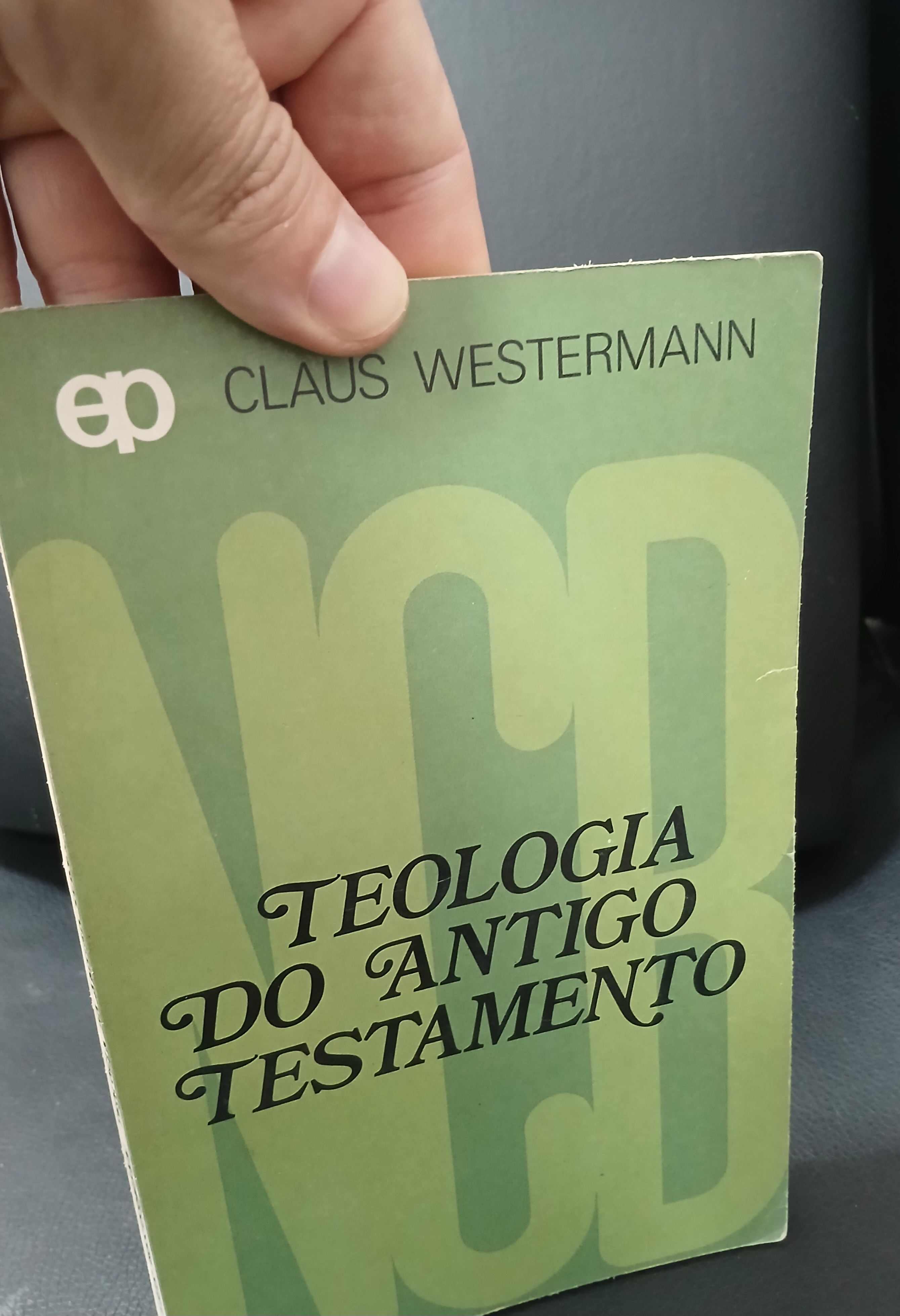 Capa de Livro Teologia do Antigo Testamento - Edições Paulinas